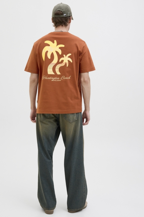 Jack & Jones jorcanggu summer picture tee ss cn